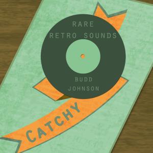 อัลบัม Rare Retro Sounds ศิลปิน Budd Johnson