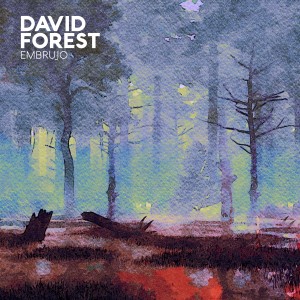 David Forest的專輯Embrujo