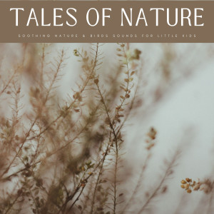 Tales Of Nature: Soothing Nature & Birds Sounds For Little Kids