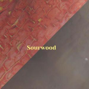 Listen to Fissiparous Flight song with lyrics from Heny Stit