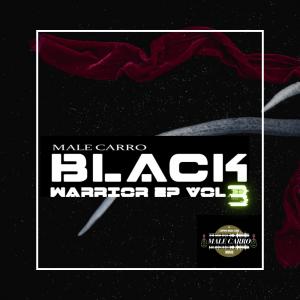 ดาวน์โหลดและฟังเพลง The Whipper (feat. Dj SKB, Afrophonix & Dj Fixer) พร้อมเนื้อเพลงจาก Male Carro