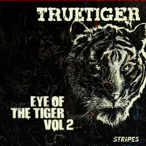 ดาวน์โหลดและฟังเพลง Big Love (Northern Lights DnB Remix) พร้อมเนื้อเพลงจาก True Tiger