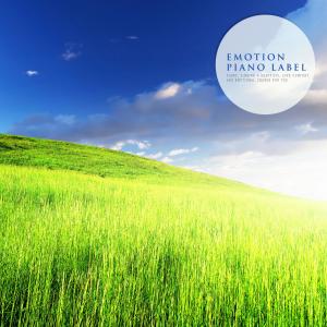 Album Calm Meditation Piano Compilation from Korea Various Artists