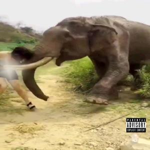 Quak Byrd的專輯1 Favor (feat. (prod. by Exotic Tunez)) (Explicit)