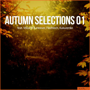 Album Autumn Selections 01 from Heever