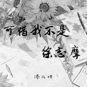 添兒唄的專輯可惜我不是徐志摩