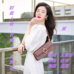 Listen to 雁 (伴奏) song with lyrics from 王素珍