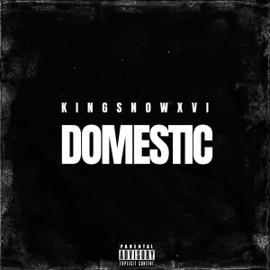 ดาวน์โหลดและฟังเพลง Domestic (Explicit) พร้อมเนื้อเพลงจาก KingSnowXVI