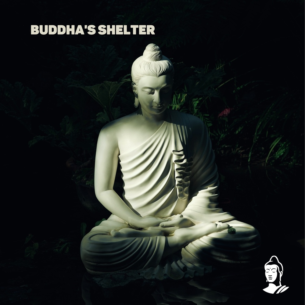 Conscious Journey