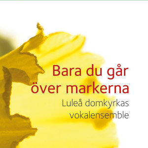 收聽Luleå domkyrkas vokalensemble的Ombra Mai Fu歌詞歌曲