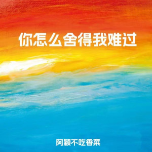 Album 你怎么舍得我难过 oleh 阿颖不吃香菜