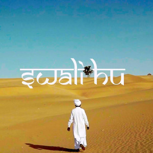 Listen to Swali Hu song with lyrics from Donn Bhat