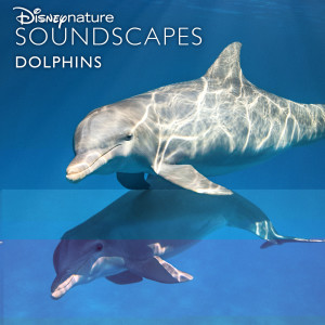 อัลบัม Disneynature Soundscapes: Dolphins ศิลปิน Disneynature Soundscapes