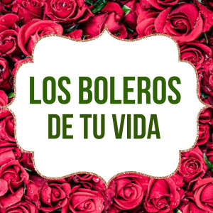 Dengarkan lagu Lejos nyanyian Juanito Segarra dengan lirik