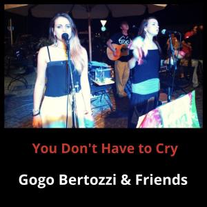 Listen to You Don't Have to Cry song with lyrics from Gogo Bertozzi & Friends