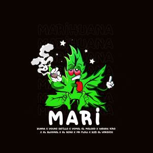 Listen to Mari (Explicit) song with lyrics from Yomel El Meloso
