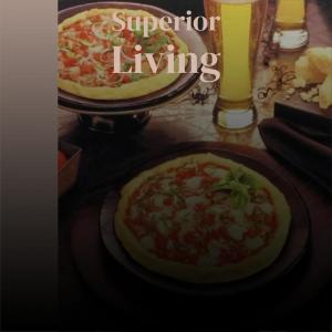 Various的专辑Superior Living