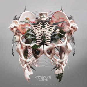 的專輯The Weight of Sound
