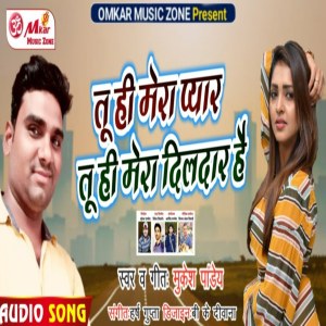 Album Tu Hi Mera Pyar Tu Hi Mera Dildar Hai from 