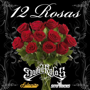 收听David Rolas的12 Rosas (feat. Fulanito & Sito Rocks)歌词歌曲