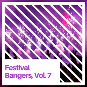 Various Artists的專輯Festival Bangers, Vol. 7
