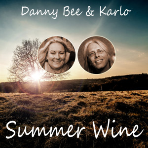收聽Danny Bee的Summer Wine (Cover Version)歌詞歌曲