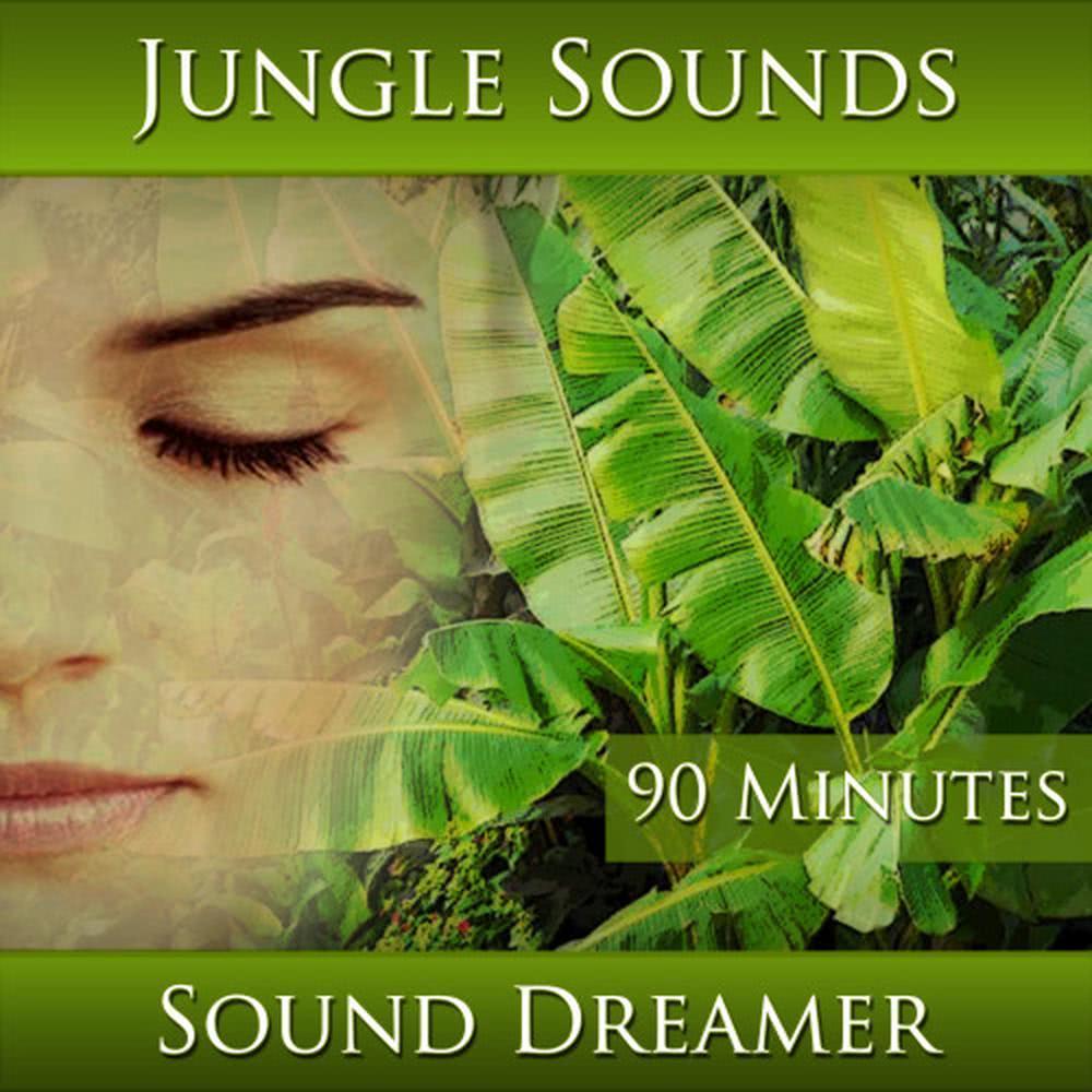 Jungle Sounds - 90 Minutes