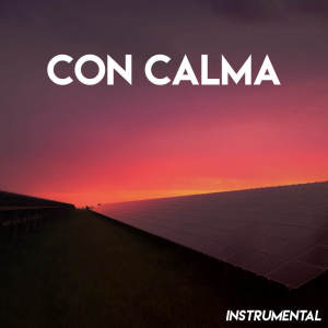 收聽Boricua Boys的Con Calma (Instrumental)歌詞歌曲