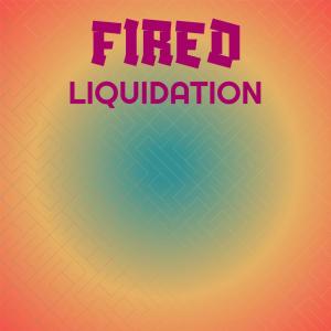 Listen to Fired Liquidation song with lyrics from Aang Dolf