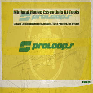 ดาวน์โหลดและฟังเพลง Minimal House Essentials Lead 4 128 พร้อมเนื้อเพลงจาก Ryan Love