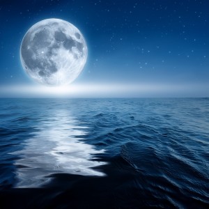 收聽Serenity Music Relaxation的Tides of Soft Reflection歌詞歌曲