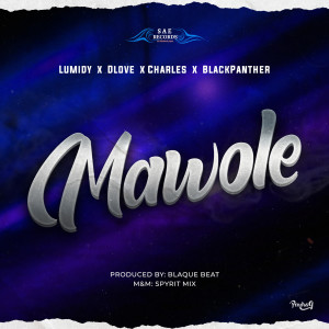Listen to Mawole (Explicit) song with lyrics from Lumidy