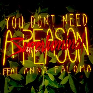 收聽DJ Superluminal的You Don't Need a Reason (feat. Anna Paloma)歌詞歌曲