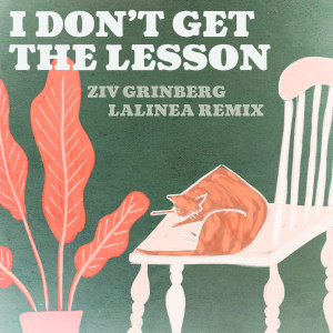Listen to I Don't Get the Lesson - Lalinea Remix song with lyrics from Lalinea