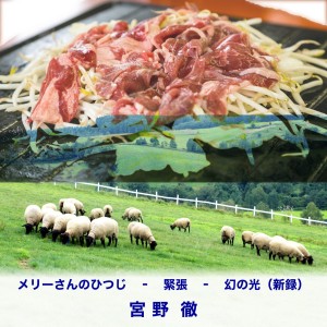 收聽TORU MIYANO的Mary Had a Little Lamb歌詞歌曲