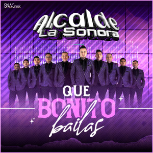 收听Alcalde La Sonora的Que bonito bailas歌词歌曲