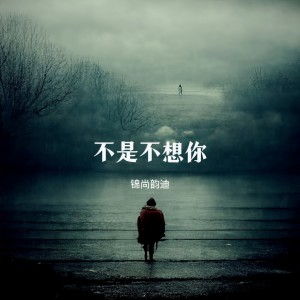 Album 不是不想你 from 锦尚韵迪