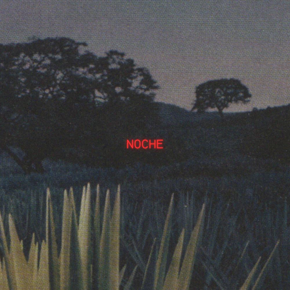 NOCHE (xxKevin Remix)