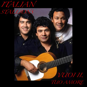 Dengarkan Vuoi Il Tuo Amore lagu dari De Vet Du dengan lirik