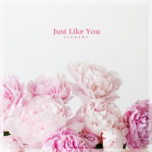 Album Just Like You from 