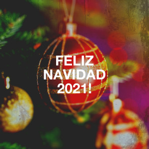 Coro Infantil De Navidad的专辑Feliz Navidad 2021!