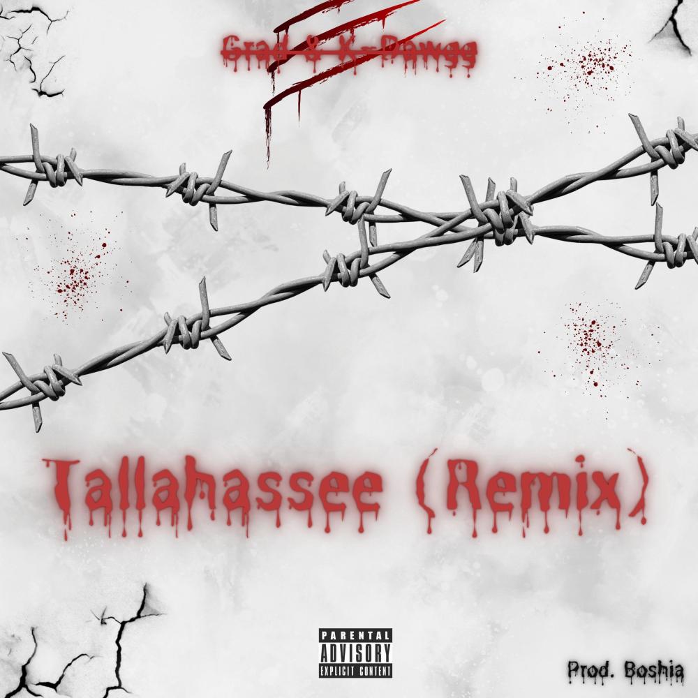 Tallahassee (feat. K-Dawgg) (Remix|Explicit)