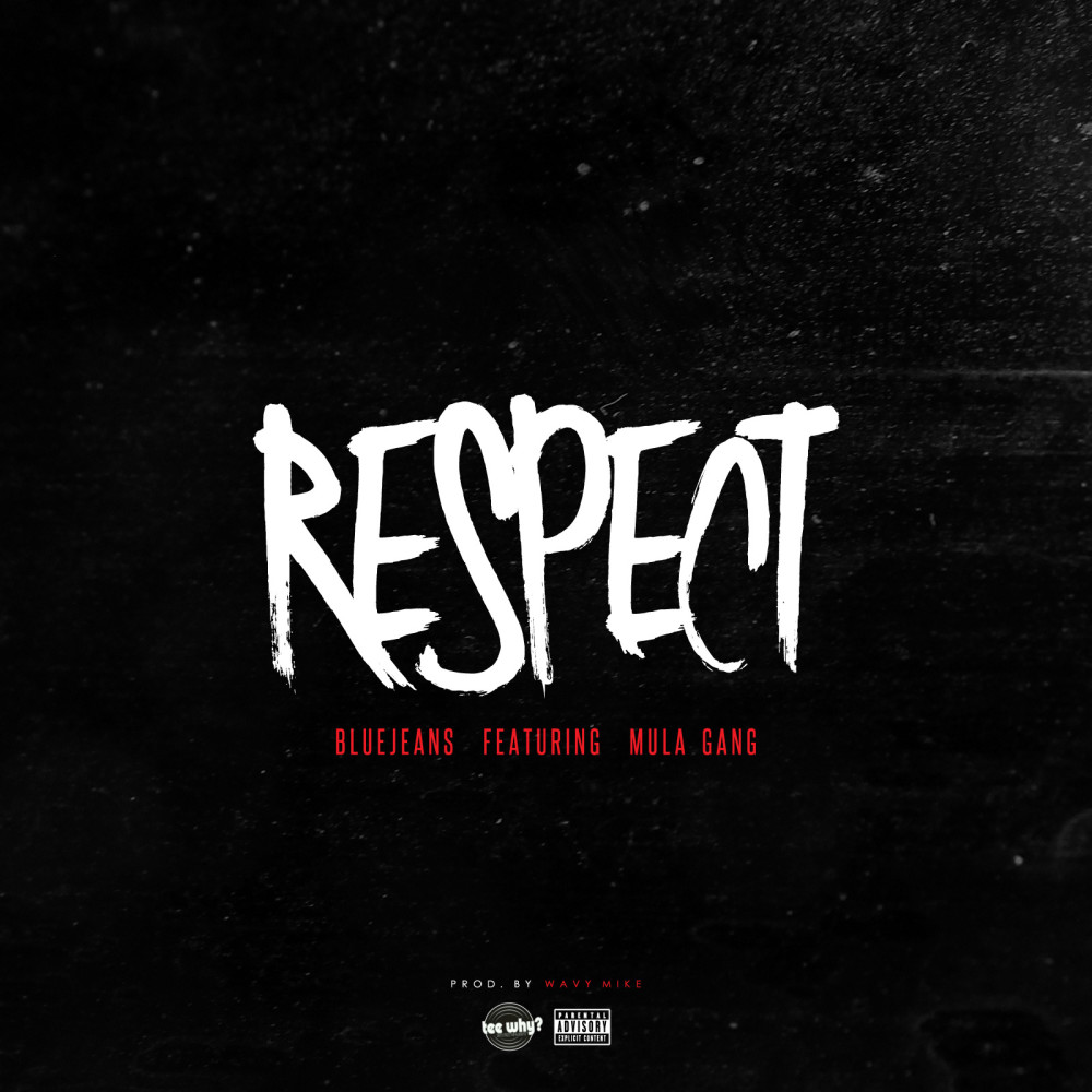 Respect (feat. Mula Gang) (Explicit)