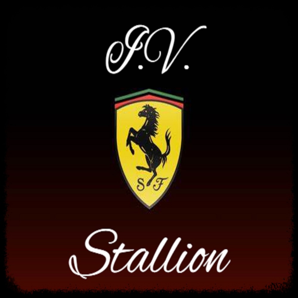 Stallion