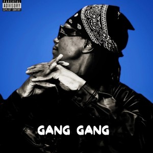 Album Gang Gang from 