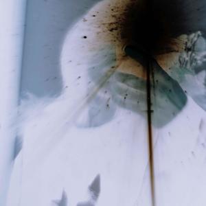 收聽lil XipZ的she seen the scars on my body and kissed me (feat. shxdy808) (Explicit)歌詞歌曲