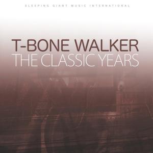 收聽T-Bone Walker的You Just Wanted to Use Me歌詞歌曲