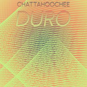 Dengarkan lagu Ballet Puerto nyanyian Honnie Buli dengan lirik