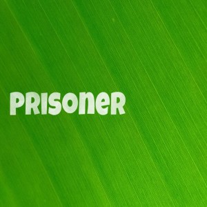 Solo的專輯Prisoner (Explicit)