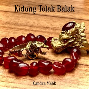 收聽Candra Malik的Kidung Tolak Balak歌詞歌曲